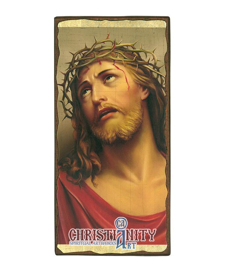Jesus Christ Crown of thorns (Aged icon - SW Series)-Christianity Art